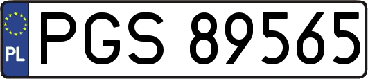 PGS89565