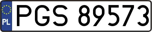 PGS89573