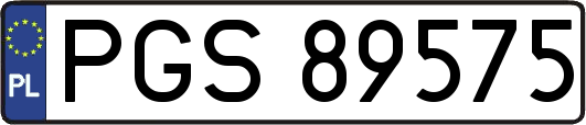 PGS89575