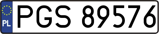 PGS89576