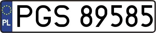 PGS89585
