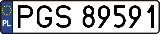 PGS89591