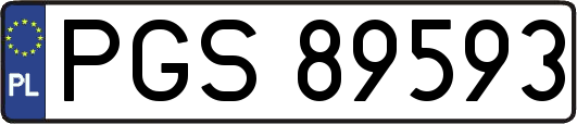 PGS89593