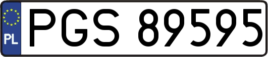 PGS89595