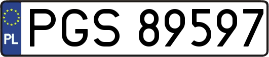 PGS89597