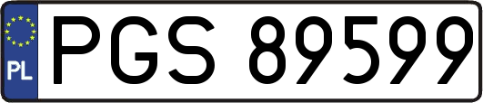 PGS89599