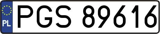 PGS89616