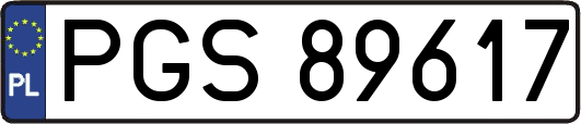 PGS89617