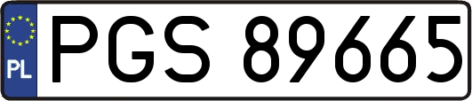 PGS89665