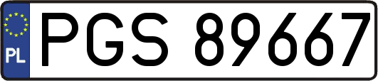 PGS89667
