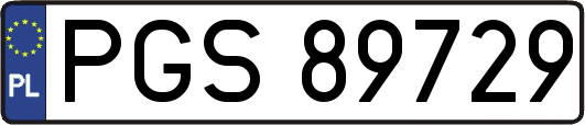 PGS89729