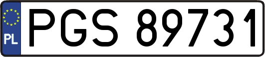PGS89731