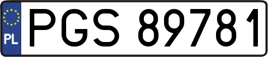 PGS89781