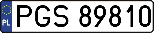 PGS89810