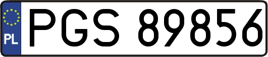 PGS89856