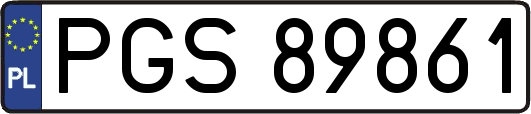 PGS89861
