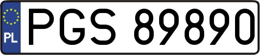 PGS89890