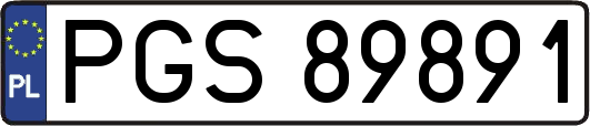 PGS89891