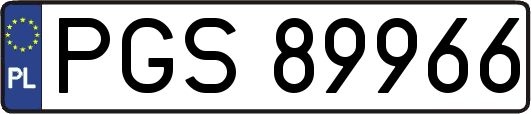 PGS89966