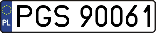 PGS90061