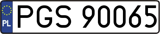 PGS90065