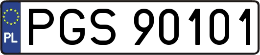 PGS90101