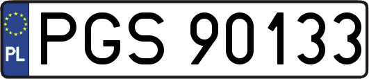 PGS90133