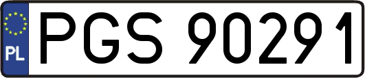 PGS90291