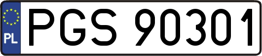PGS90301