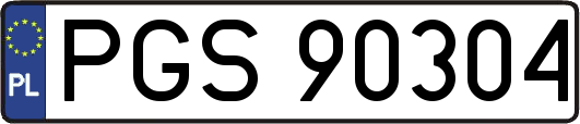 PGS90304