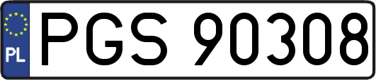 PGS90308