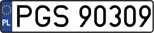 PGS90309