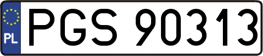 PGS90313