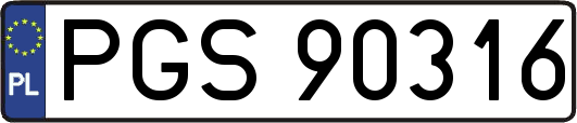 PGS90316