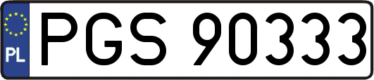 PGS90333