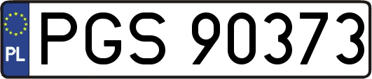 PGS90373
