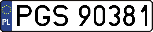 PGS90381