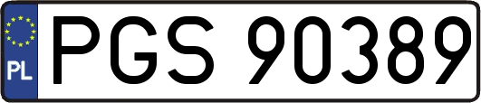 PGS90389