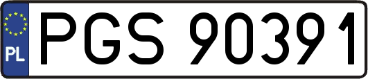 PGS90391