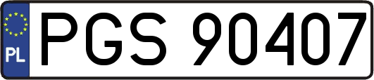 PGS90407