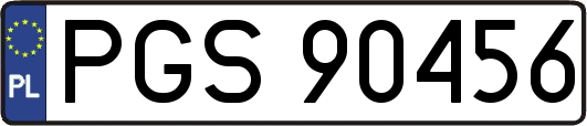 PGS90456