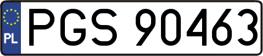 PGS90463