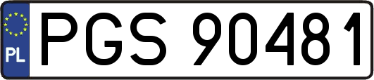PGS90481