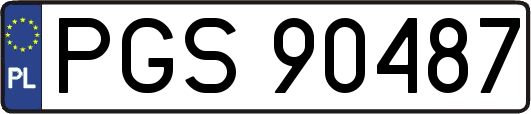 PGS90487