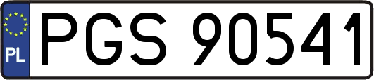 PGS90541