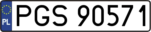PGS90571
