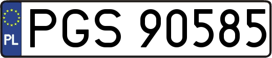 PGS90585