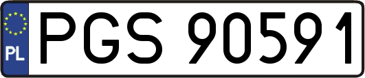 PGS90591