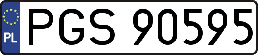 PGS90595
