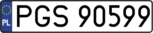PGS90599